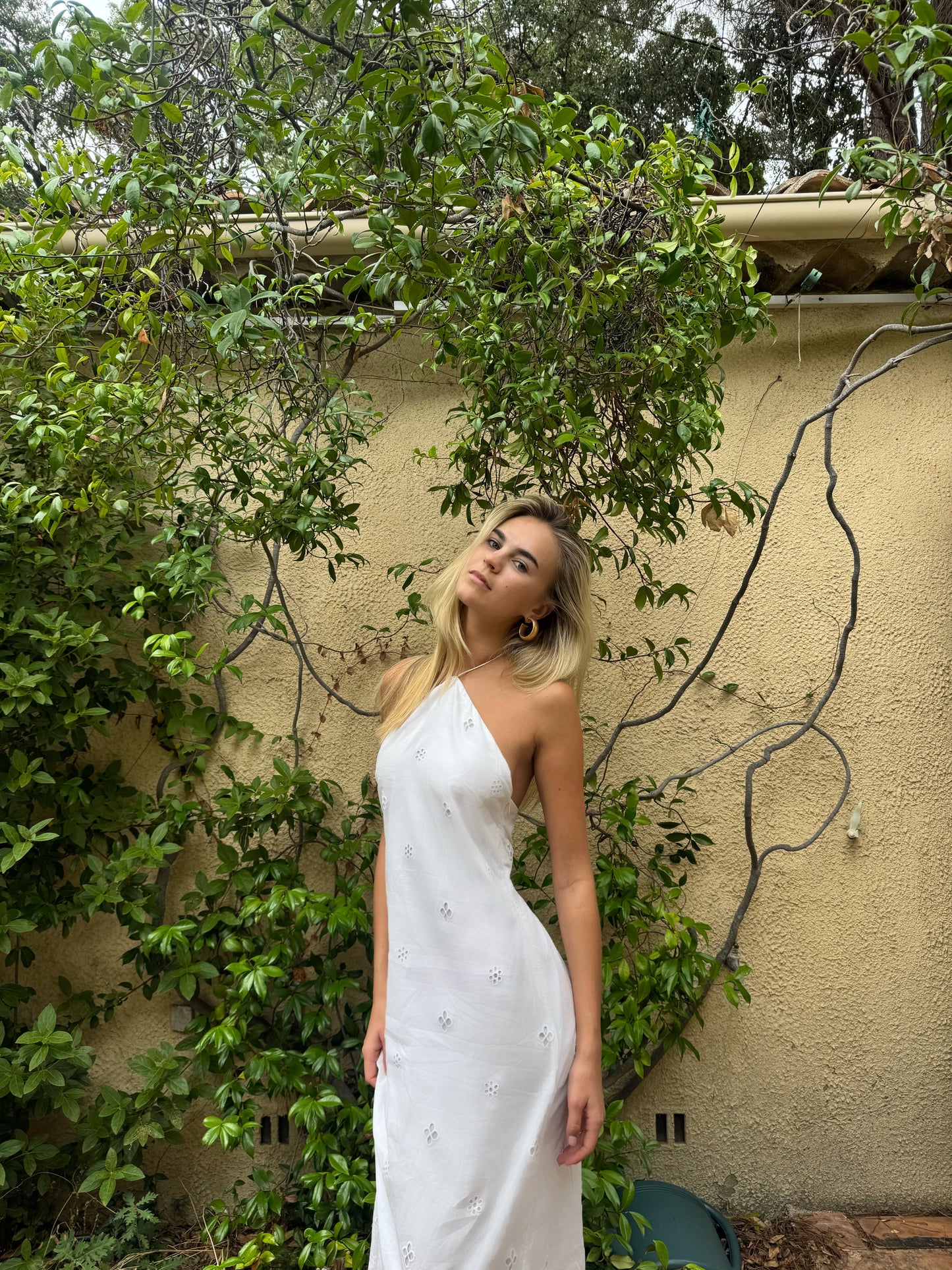 CLEO DRESS